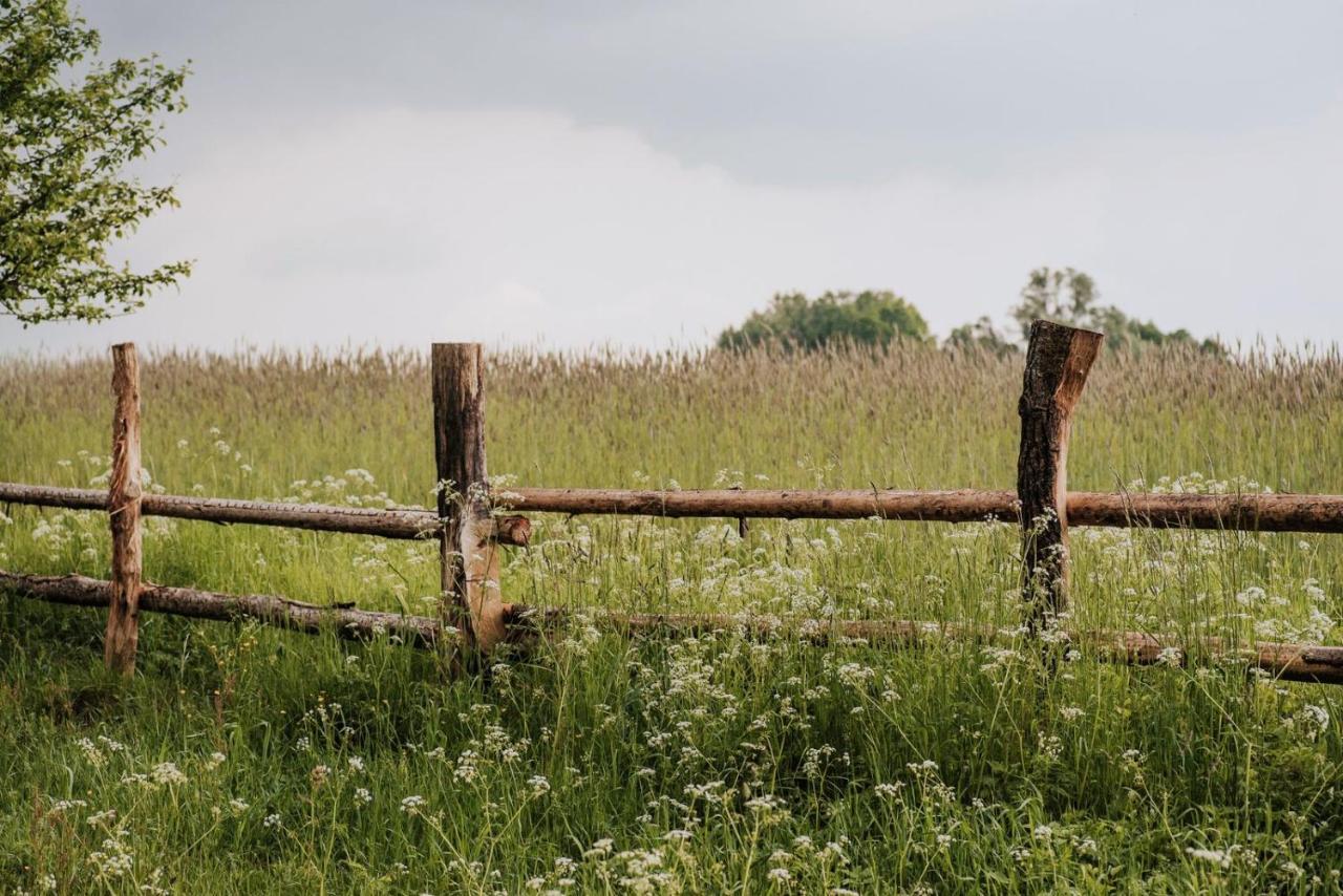 Dziki Las - Domki Na Drzewach Miłomłyn Exterior foto